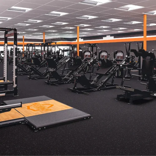 Armor Gym